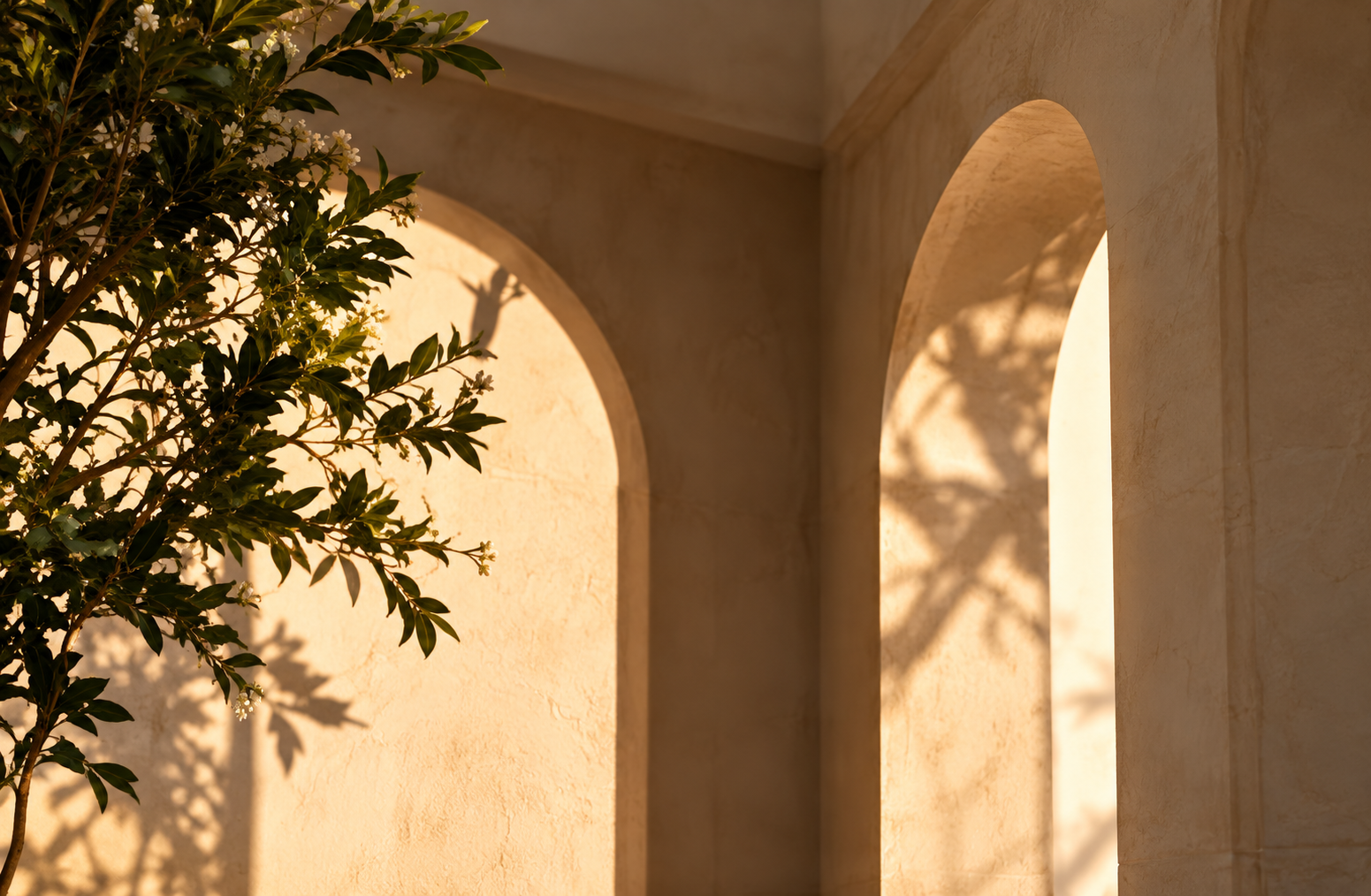 Palmeras architectural courtyard inspiration